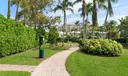 3 Turtle Walk Photo