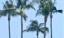 2400 S Ocean Drive #1033 Photo