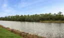 10376 Orchid Reserve Drive #12b Photo