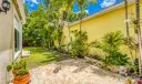 Specimen palm and tropical foliage line perimeter of fenced garden