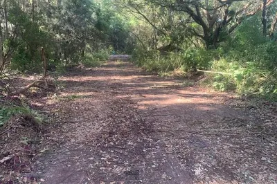 Davie Land 1