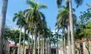 2000 NE 3rd Ct #5 Photo