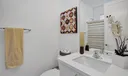 17523 Rainstream Photo