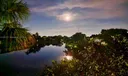 7640 Westwood Dr #411 Photo