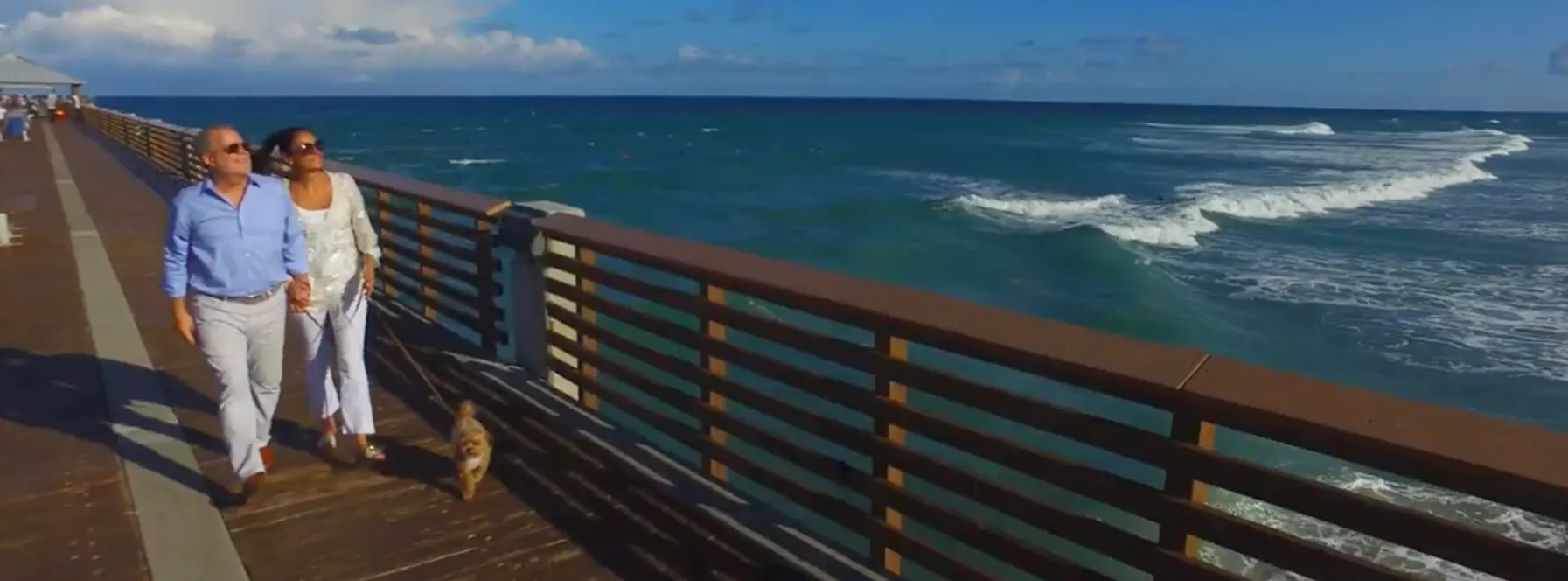 Getting to Know Echo Fine Properties’ Agent Andrew Levy!