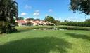 7608 Red Ruby Drive Photo