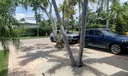 301 Hampton Ln Photo