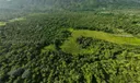 Samana Photo