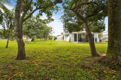 Yard
