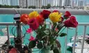 18081 Biscayne Blvd #505 Photo