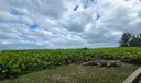1136 S Ocean Dr #C Photo