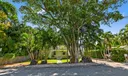 53 Palm Square Photo