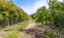 20650 Old Cutler Rd Photo