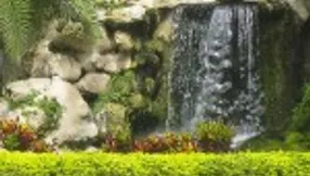 Frenchman’s Creek | Lifestyle & Amenities | Frenchmans Creek | Jeff Lichtenstein