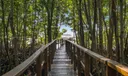 6150 Paradise Point Dr #6150 Photo
