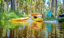 1464 Harbour Point Drive Photo