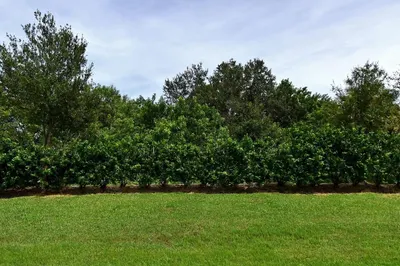 4341 Winding Place 1