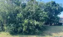 357 Todd Avenue Photo