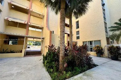Front of Structure