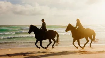 Equestrian Homes & Communities in Martin County