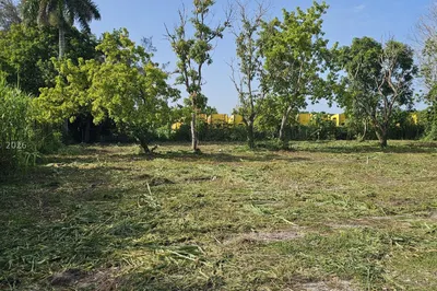 197 Ave / SW 144th Street 1