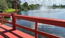 Fountain & Water Pool Deck