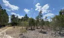 13401 Northlake Blvd Photo