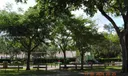 15073 SW 119th Ln Photo