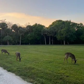 Top 10 Reasons to Live in Florida