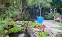 Water falls