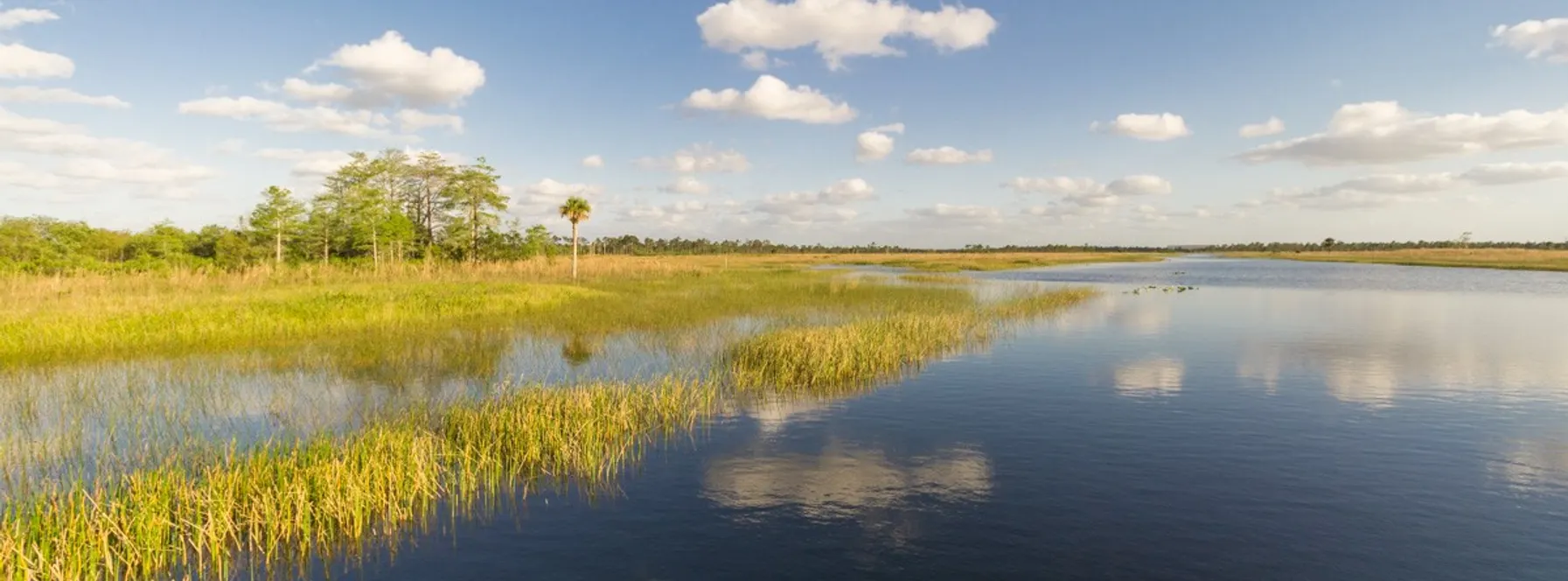 Palm Beach Places Unknown | Pine Glades Natural Area