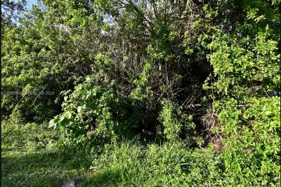 Lot 6 San Diego Ave 1