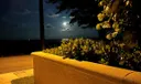 200 N Ocean Boulevard #1 Photo