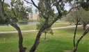 Rear Patio Overlooking The Golf Course And Water