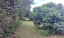 Sw Photo