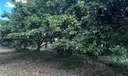 Sw Photo