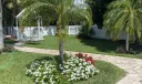 2327 Windsor Road Photo