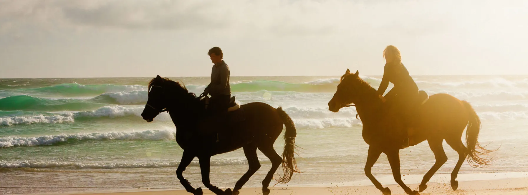 Equestrian Homes & Communities in Martin County
