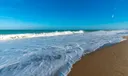 2400 S Ocean Drive #3628 Photo