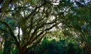 9224 Coral Isles Circle #{Lot 32} Photo