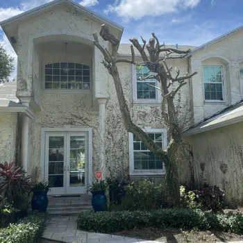 12 Tips on The Façade of Your Home