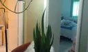 1250 E Sample Road #307 Photo