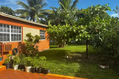 Yard