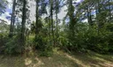 354 Wildcat St Photo