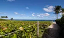 424 Seaspray Avenue Photo